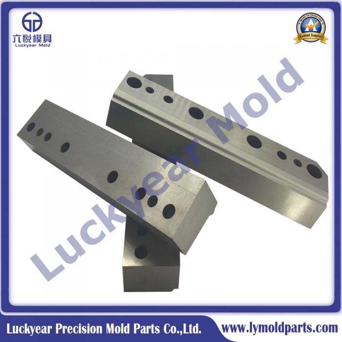 Custom Hole Punch Die, Square Punch Die Mould